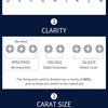 Modian Moissanite 1CT 2CT D Color VVS1 EX Luxury Stud Earrings 925 Sterling Silver Sparkling Earrings For Women Wedding Jewelry